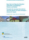 Buchcover Neue Seen als Folge des Gletscherschwundes im Hochgebirge - Chancen und Risiken Formation de nouveaux laxs suite au recu