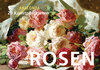 Buchcover Postkartenbuch Rosen