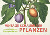 Buchcover Postkarten-Set Vintage-Schaubilder Pflanzen