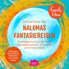 Buchcover FamilyFlow. Nalumas Fantasiereisen