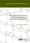 Buchcover Elastic and Inelastic Scanning Tunneling Spectroscopy on Iron-Based Superconductors