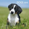 Buchcover Dogs   2015