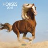 Buchcover Horses   2015