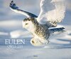 Buchcover Eulen 2015
