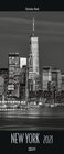 Buchcover New York 2021