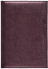 Buchcover Buchkalender Chef-Timer Balaton burgund 2023