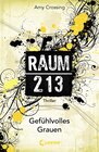 Buchcover Raum 213 - Gefühlvolles Grauen