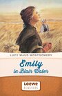 Buchcover Emily in Blair Water