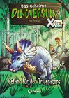 Buchcover Das geheime Dinoversum Xtra 2 - Gefahr für den Triceratops