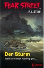 Buchcover Der Sturm / Fear Street Bd.55