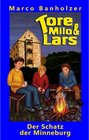 Buchcover Tore, Milo & Lars - Der Schatz der Minneburg