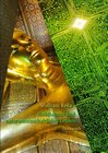 Buchcover Buddhismus und naturwissenschaftliches Denken