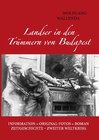 Buchcover Landser in den Trümmern von Budapest