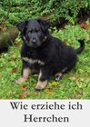 Buchcover Wie erziehe ich Herrchen