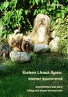 Buchcover Sieben Lhasa Apso: immer spannend