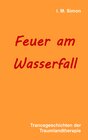 Buchcover Feuer am Wasserfall