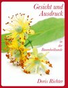 Buchcover Gesicht und Ausdruck