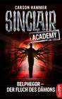Buchcover Sinclair Academy - 01