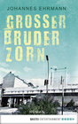 Buchcover Großer Bruder Zorn