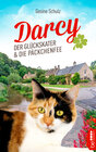 Buchcover Darcy - Der Glückskater und die Päckchenfee
