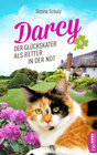 Buchcover Darcy - Der Glückskater als Retter in der Not