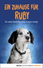 Buchcover Ein Zuhause für Ruby