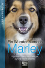 Buchcover Ein Wunder namens Marley