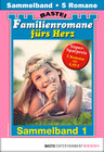 Buchcover Familienromane fürs Herz 1 - Sammelband