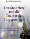 Buchcover Der Steinmetz und die Tochter des Bürgermeisters Ulmer Münsterbau Ständedenken Reformation Wanderjahre Wien Augsburg