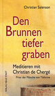 Buchcover Den Brunnen tiefer graben