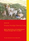 Buchcover Sheylas freudige Überraschung