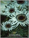 Buchcover Personalbilanz Lesebogen 09  Existenzgründer und Rating