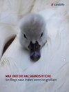 Buchcover Max und die Halsbandsittiche