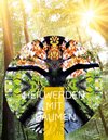 Buchcover Heilwerden mit Bäumen