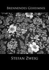 Buchcover Brennendes Geheimnis