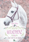 Buchcover Wolkenherz - Eine Fährte im Sturm - Band 2