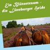 Buchcover Ein Blütentraum - die Lüneburger Heide