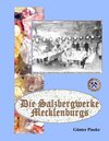 Buchcover Die Salzbergwerke Mecklenburgs