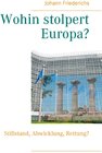 Buchcover Wohin stolpert Europa?