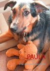 Buchcover Paula