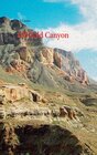 Buchcover All Gold Canyon