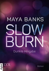 Buchcover Slow Burn - Dunkle Hingabe
