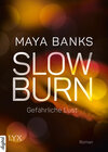 Buchcover Slow Burn - Gefährliche Lust
