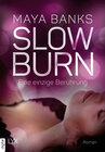 Buchcover Slow Burn - Eine einzige Berührung