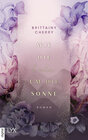 Buchcover Wie die Erde um die Sonne