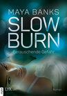 Buchcover Slow Burn - Berauschende Gefahr
