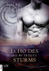 Buchcover Age of Trinity - Echo des Sturms