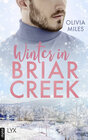 Buchcover Winter in Briar Creek