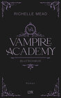 Buchcover Vampire Academy - Blutschwur