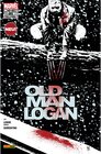 Buchcover Grenzstadt / Old Man Logan 2. Serie Bd.2